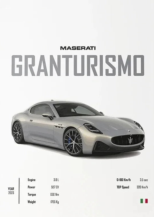 Póster de Coche Deportivo – Blanco y a Color